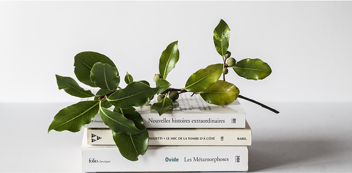 Books with a twig with leaves